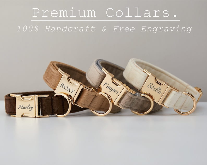 Personalized Velvet Dog Collar and Leash Set with Bow