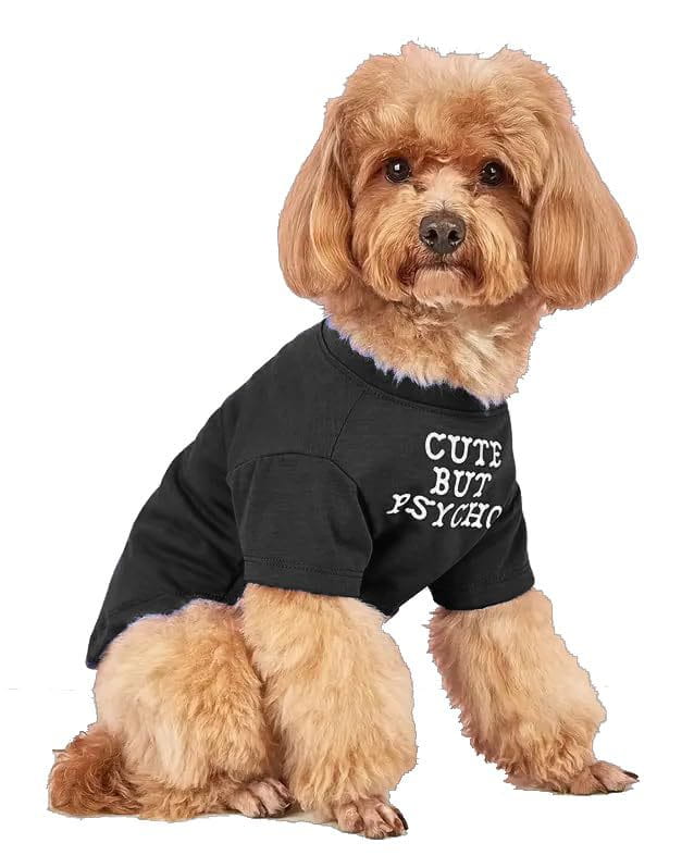 Black short-sleeved dog tee made of soft fabric with white embroidered text reading cute but psychic designed as funny pet apparel for small dog clothes.