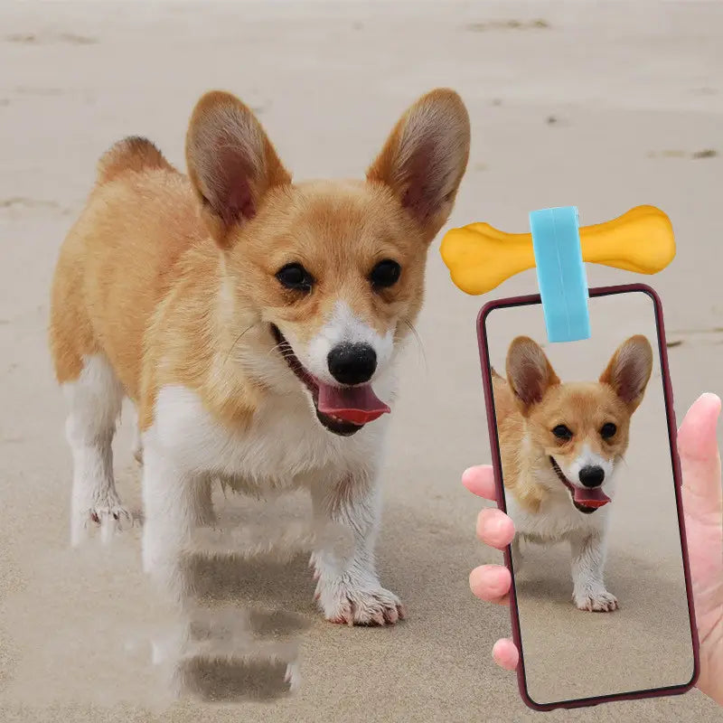 Yellow and blue bone-shaped dog toy with a clip included in the pet selfie phone clip and dog toy set designed for interactive play and phone attachment.