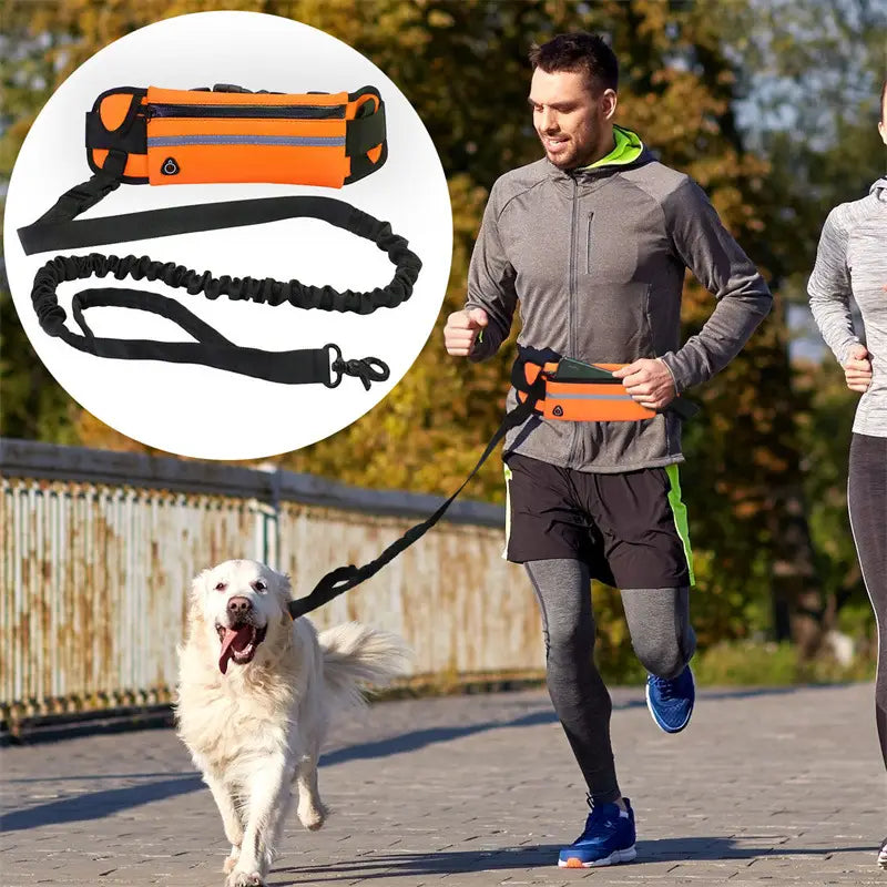 Juego de cinturón para caminar al perro sin manos y correa elástica en color naranja y negro con riñonera diseñada para corredores.