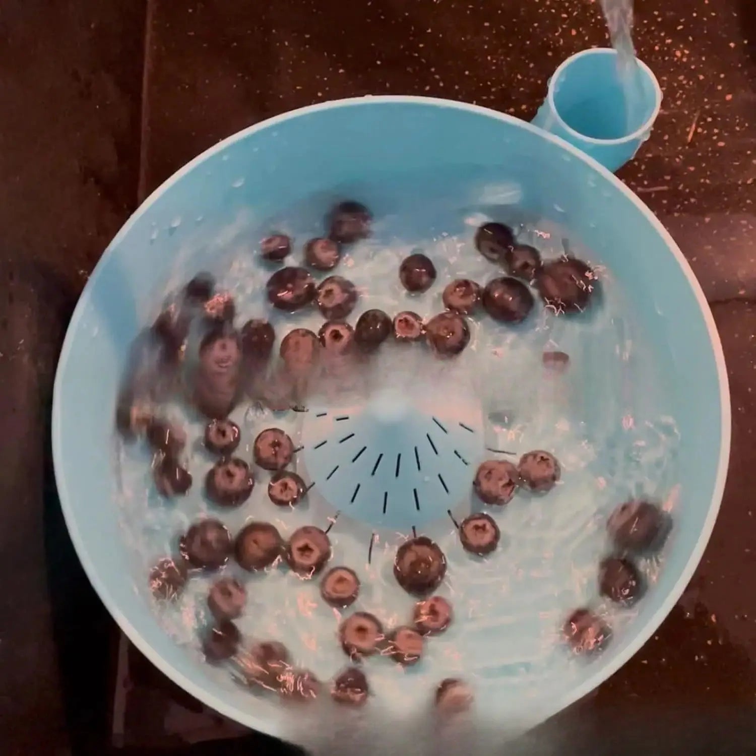 Grand bol de lavage de fruits en plastique bleu clair avec passoire, rempli de baies violet foncé, rincé sous l’eau courante pour un nettoyage efficace et un pressage d’agrumes.
