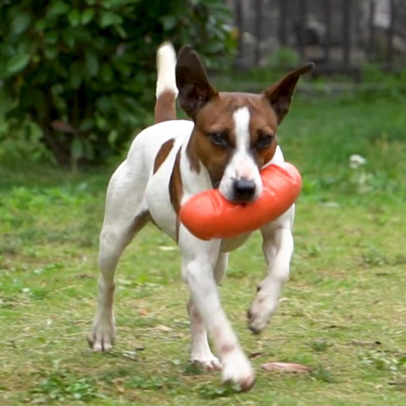 Indestructible Dog Chew Toy Squeaky Rubber Teeth Cleaner