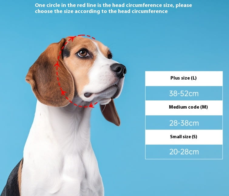 Tableau des tailles de tour de tête du beagle, avec ligne de mesure rouge et options de dimensions pour petit, moyen et grand, pour le produit de lunettes de ski pour chien antibuée coupe-vent.