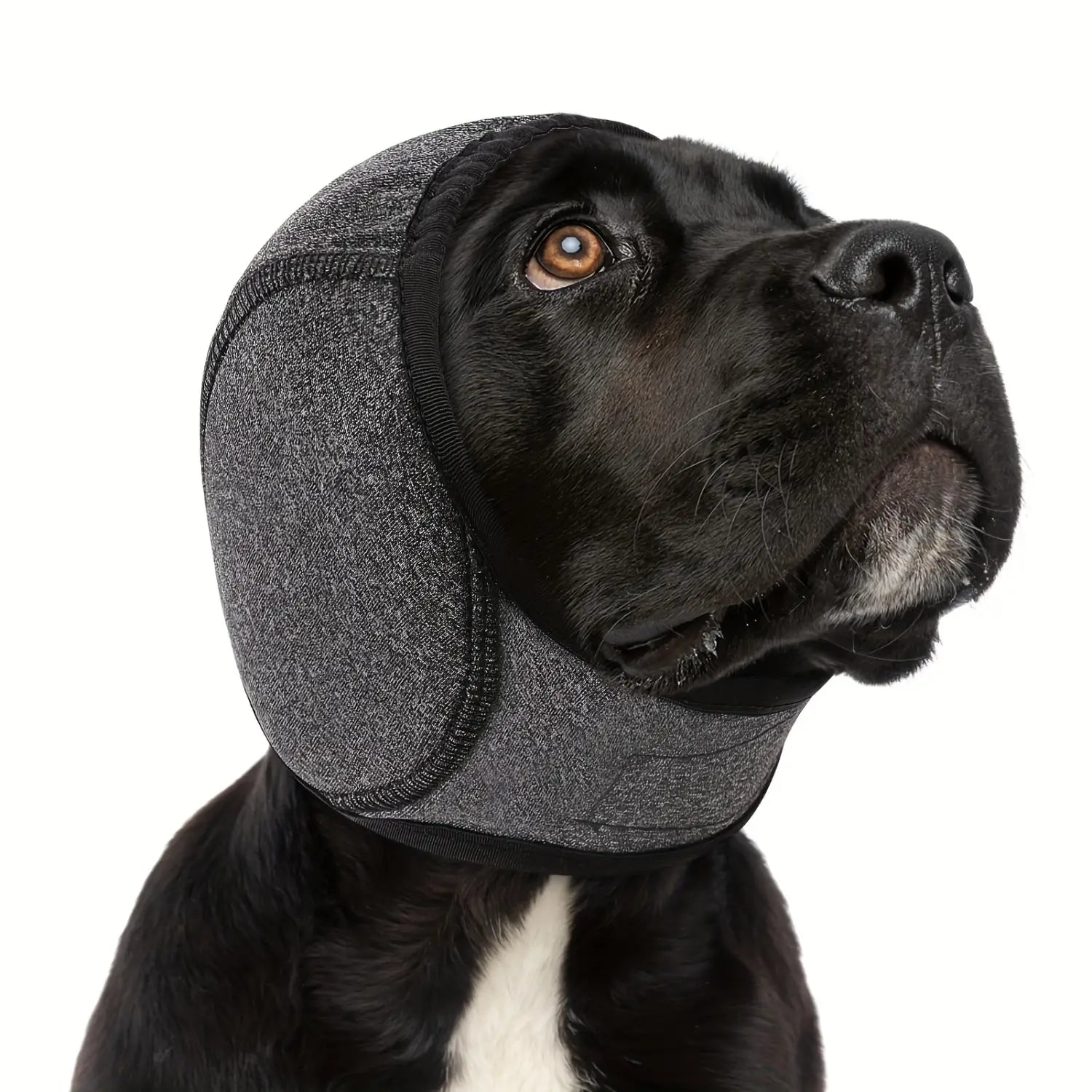 housse de tête de chien texturée grise avec bordure noire, fabriquée en néoprène, comme bonnet de bain protecteur d’oreilles pour les modèles roses