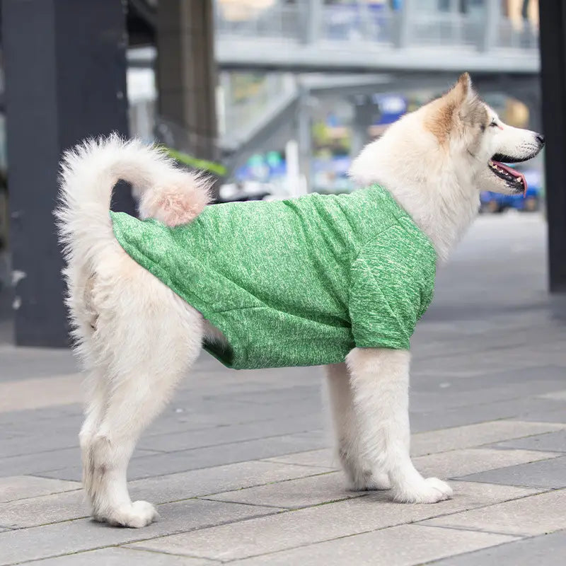 Pull chaud texturé vert en acrylique Big Dog, conçu pour une tenue d’hiver confortable pour animaux de compagnie, présenté du côté arrière.