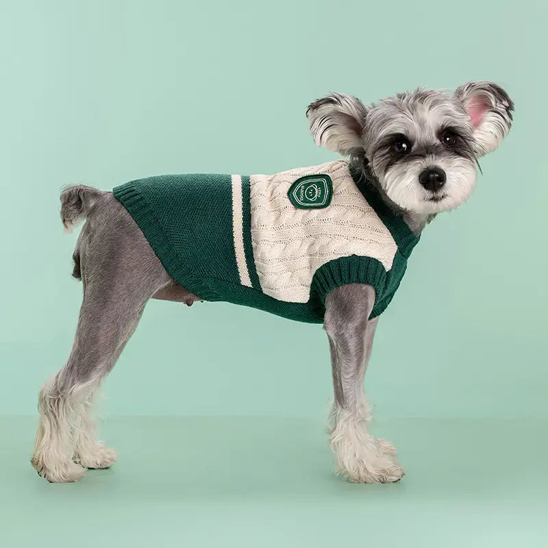 Grüner und cremefarbener gestrickter Zopfmuster-Hundepullover mit grünem Aufnäher auf der Brust, entworfen als warme Schuluniform-Tierbekleidung.