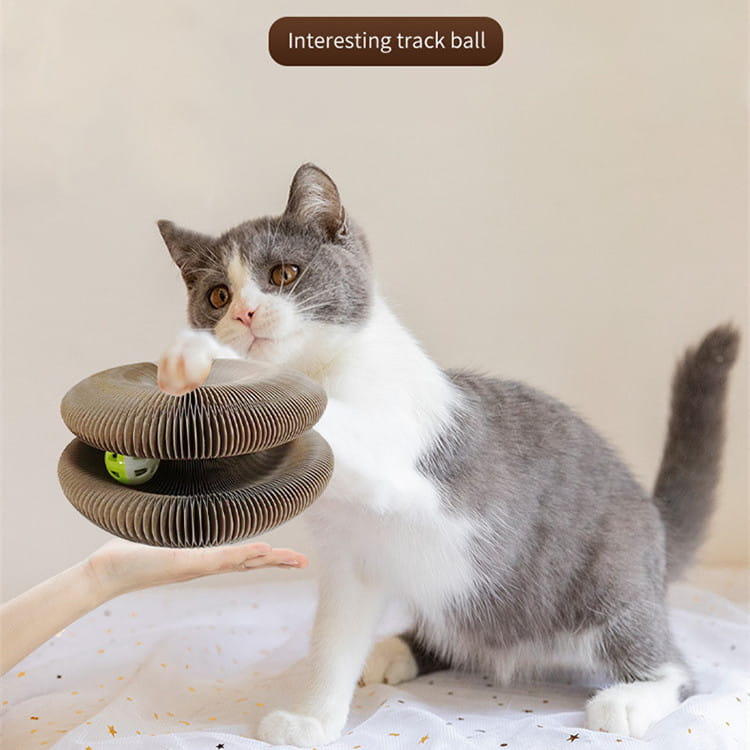Un gato gris y blanco interactúa con un juguete rascador plegable magnético de cartón corrugado para gatos de dos niveles, que incluye una bola para una participación lúdica.