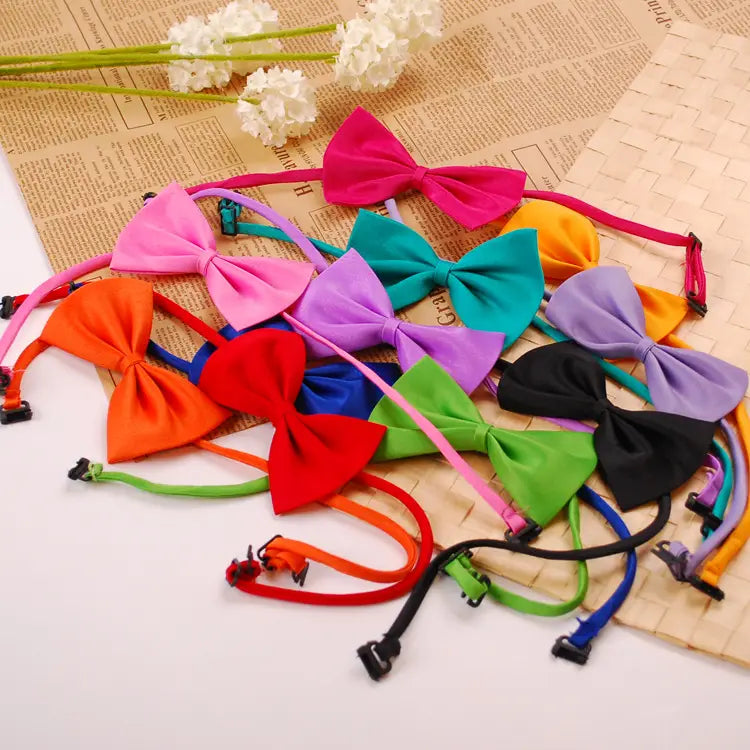 Una colección vibrante de collares para mascotas con lazos de color sólido ajustables y de colores, con bandas elásticas a juego y clips ajustables, diseñados para uso en mascotas