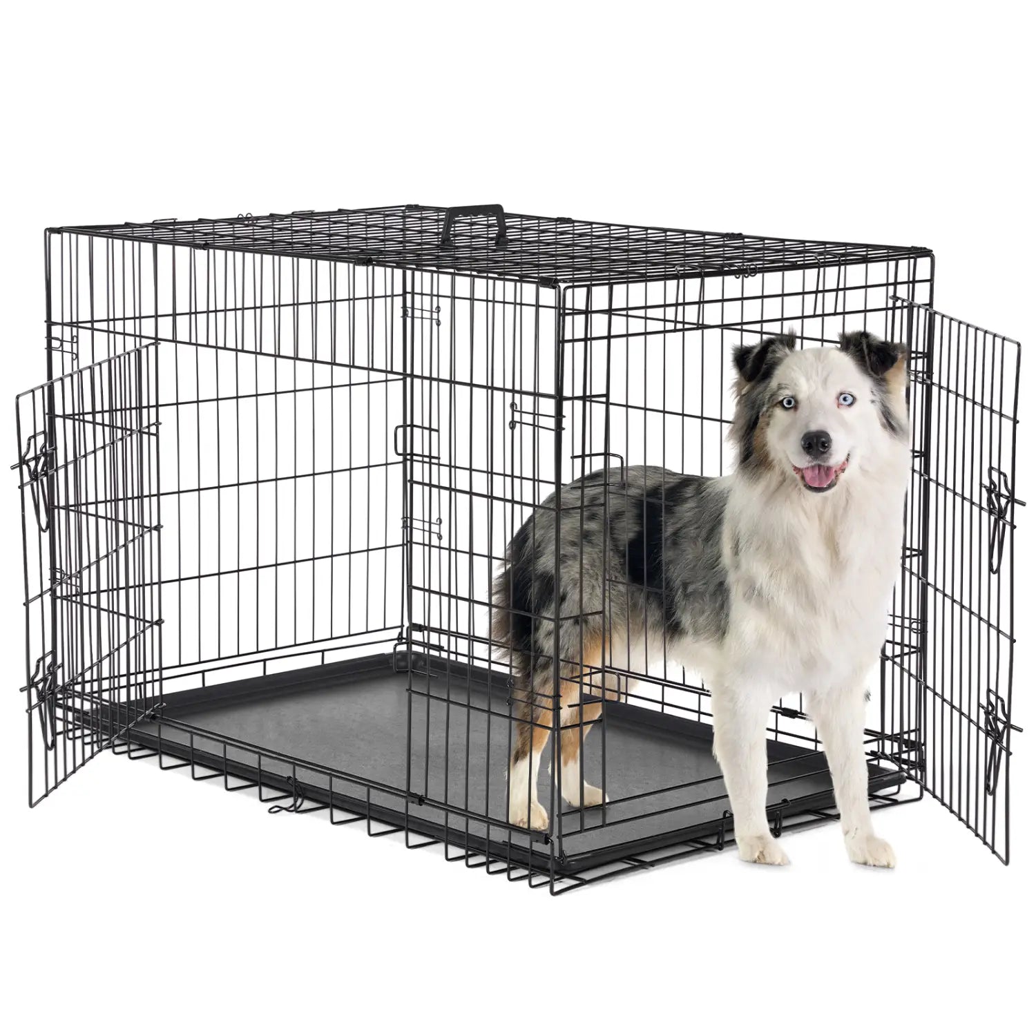 Jaula para perros de malla metálica negra con bandeja extraíble y puertas laterales mostrada desde el lado posterior en una jaula de alambre de doble puerta con bandeja extraíble, producto.