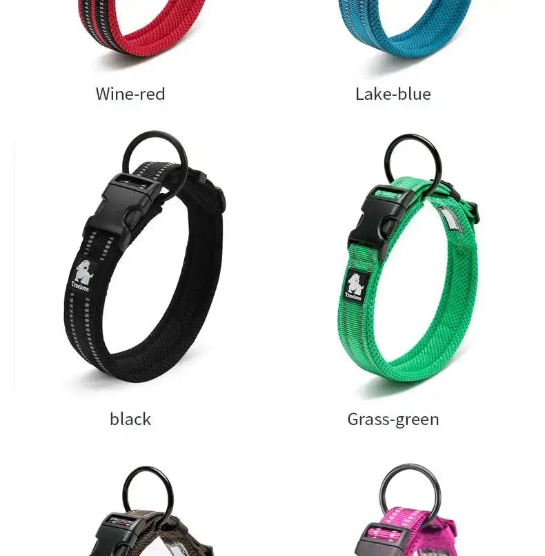 La imagen muestra collares para perro de malla acolchada reflectante talla mediana en colores vino, azul lago, negro y verde hierba.
