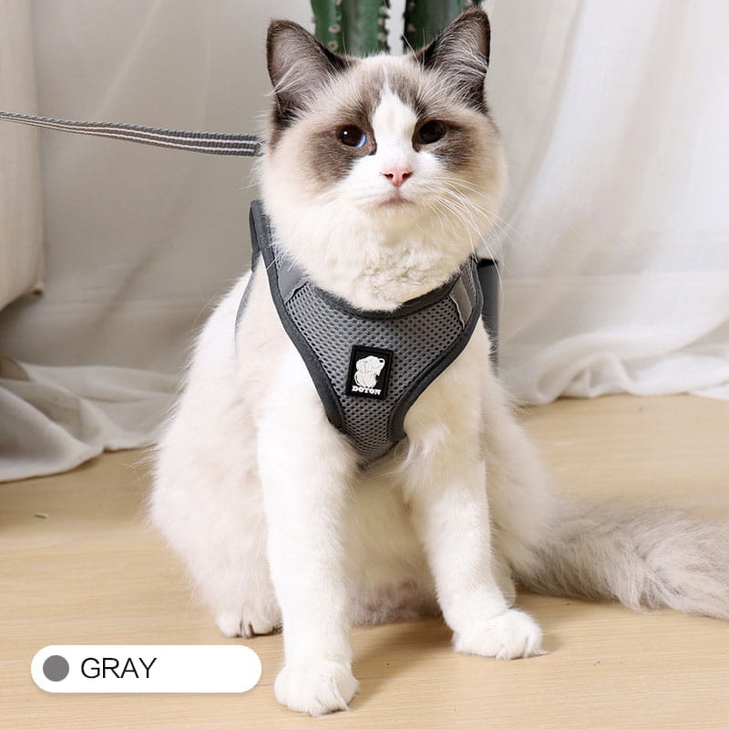 gray mesh cat harness with black trim and a small brand patch designed for reflective anti strike pet walking