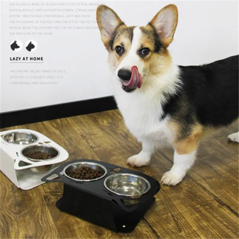 Black and white adjustable elevated double pet feeder with stainless steel bowls for cats and dogs.