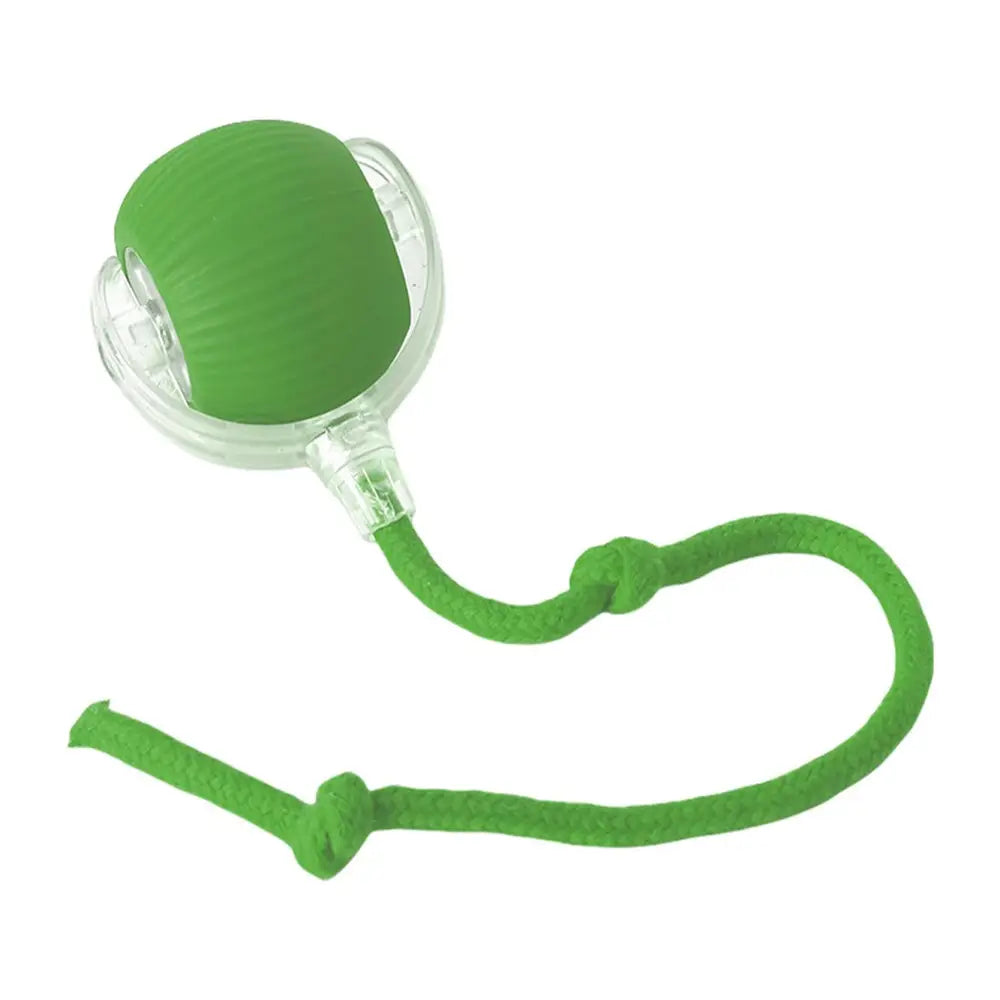 Electric Dog Cat Ball Toy,indoor Large and Small Cat Dog Interactive Intelligent Rolling Pet Ball