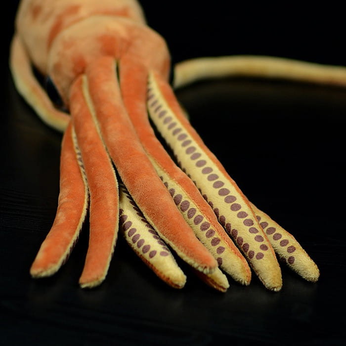 Plush octopus toy with orange and beige tentacles featuring brown dot patterns designed as a cuttlefish plush stuffed animal toy measuring 32cm.
