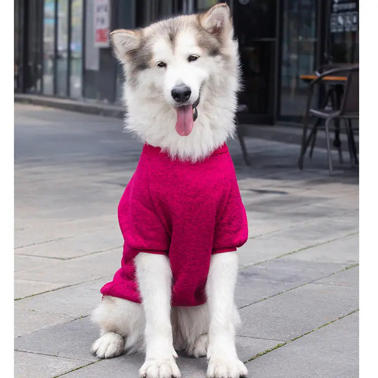 Un Malamute d’Alaska duveteux portant un pull chaud en acrylique rouge vif, conçu pour les grands chiens, offrant une tenue d’hiver confortable pour animaux de compagnie.