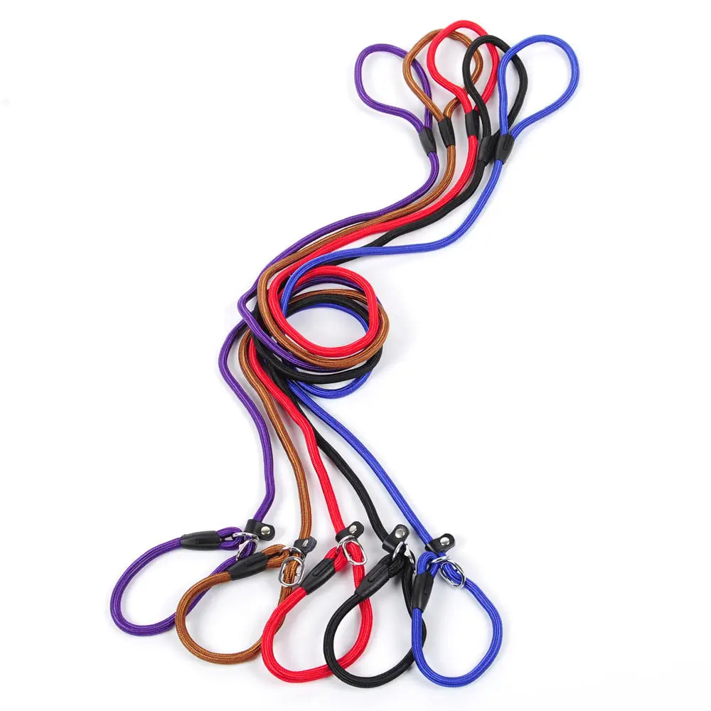 Juego de correas para perro de nailon trenzado de colores en morado rojo negro azul y marrón, con mangos plásticos a juego, para mascotas pequeñas y grandes.