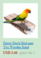 a vibrant yellow and green parrot perched atop a rustic light brown wooden bird stand next to a wedding champagne flutes gold heart toasting glasses set.