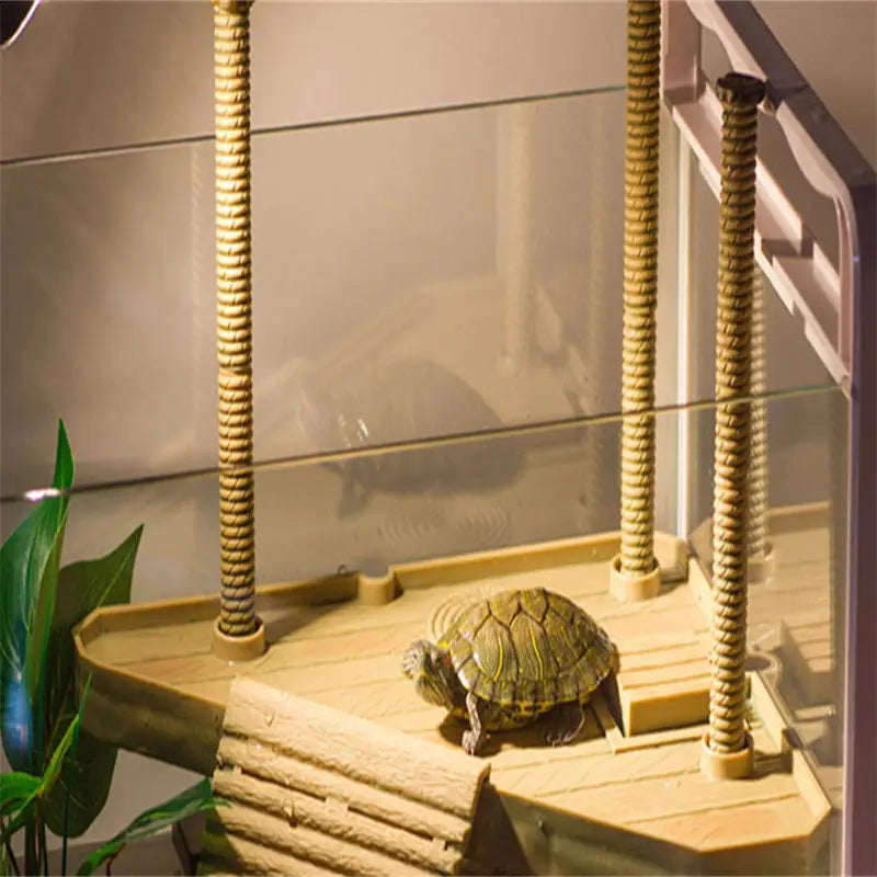 Eine grüne und braun gemusterte Schildkröte ruht auf einer hölzernen schwimmenden Schildkröten-Badeplattform als Aquariumrampe in einem Aquarium.