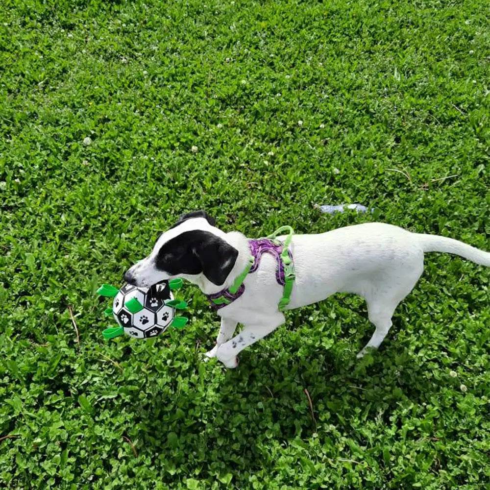 肉球のデザインを備えた緑と黒のインタラクティブな犬用サッカーボール。PUレザー製でつかみタブがあり、顧客満足とオリジナル梱包のために設計され、配送コストに関する考慮が示されています。