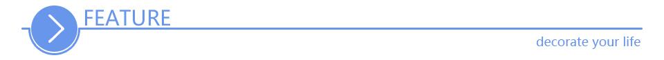 ミニマルなデザインで「feature」という語の横に配置された青い円形の矢印アイコン。木製マネーギフトカードのタンポポ願い札の主要な特長を強調する。