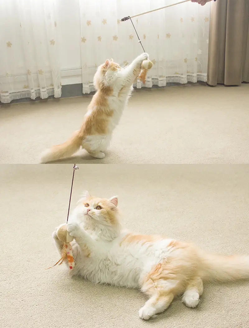 Un juguete interactivo esponjoso para gato doméstico con forma de naranja y blanco, con un gato jugando con una caña de juguete interactivo de palo de madera para gatos, diseñado para juguetes de atracción.