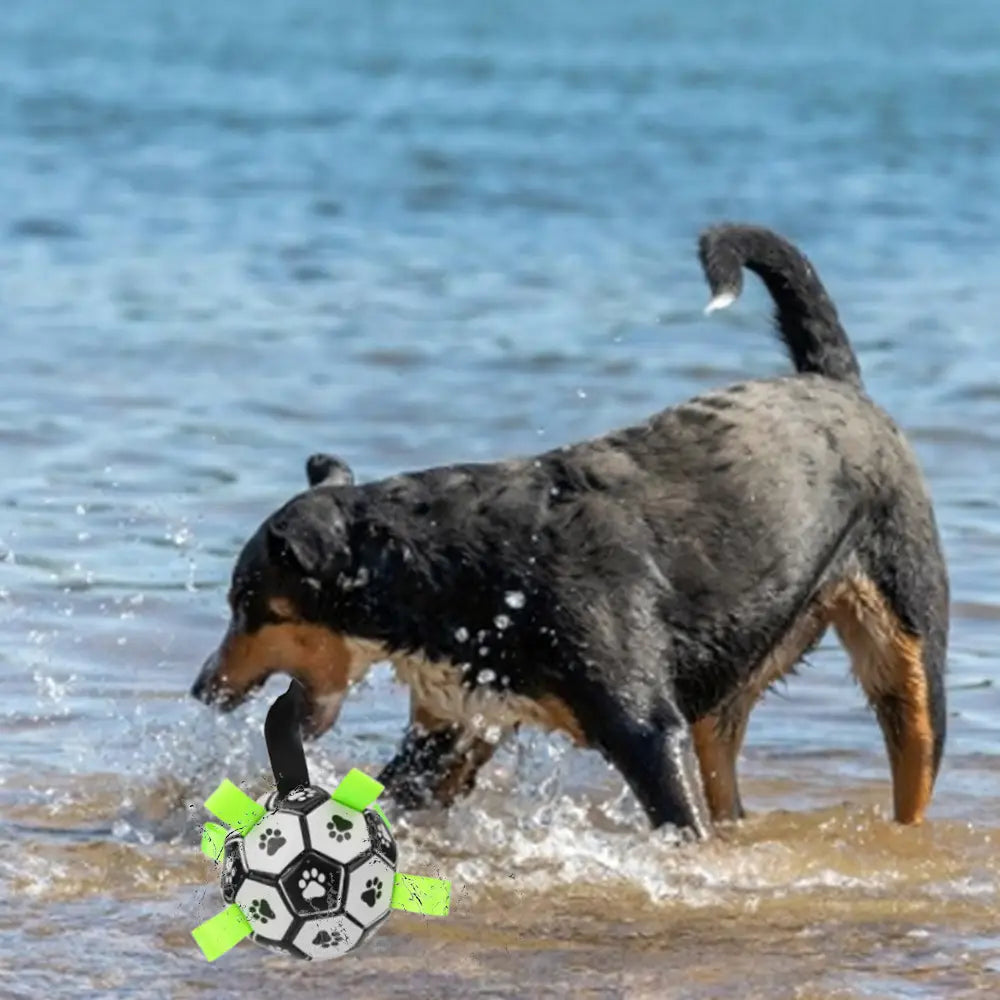 黒と白のインタラクティブな犬用サッカーボール。PUレザー製で、ネオン緑の肉球プリントのつかみタブを備え、顧客満足のために設計されています。オリジナル梱包で発送され、配送コストを低く抑えます。