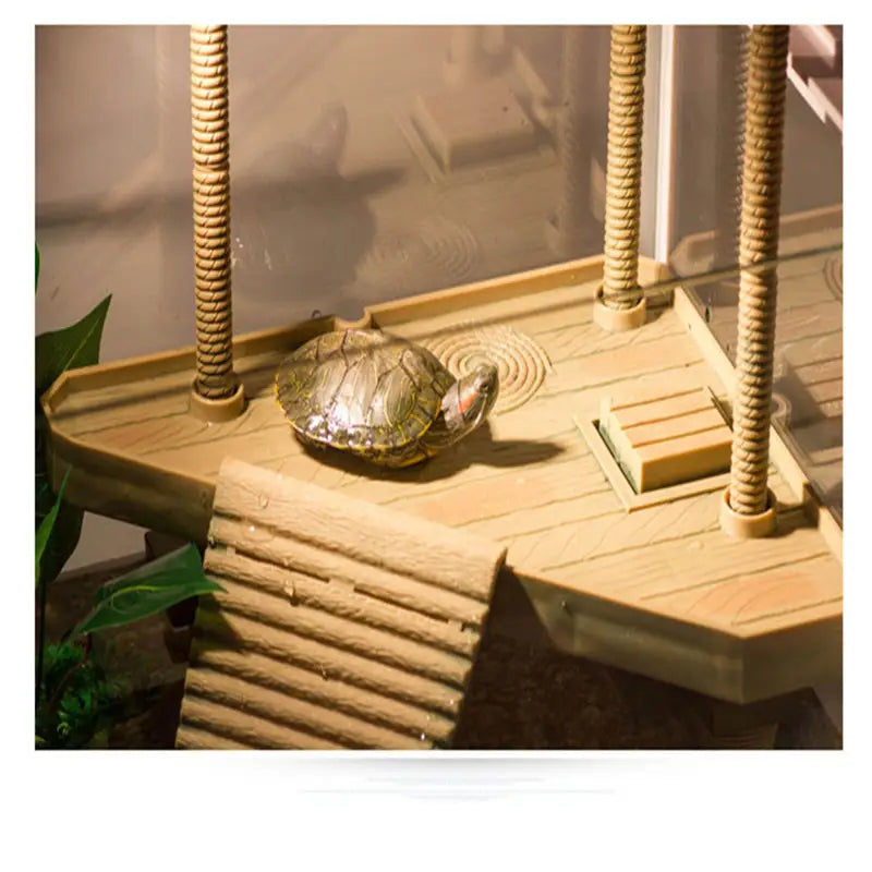 Eine Rotwangen-Schmuckschildkröte mit gemusteter Schale ruht auf einer hölzernen schwimmenden Schildkröten-Badeplattform als Aquariumrampe in ihrem Gehege.