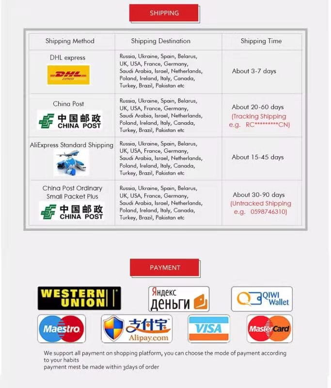 Die Versand- und Zahlungsinformationen-Seite für Ohrringe mit Gold-Drachenring als feines Schmuck-Geschenk zeigt Logos von dhl china post aliexpress standard shipping china post ordinary small packet plus sowie akzeptierte Zahlungsmethoden, einschließlich Western Union und Yandex.