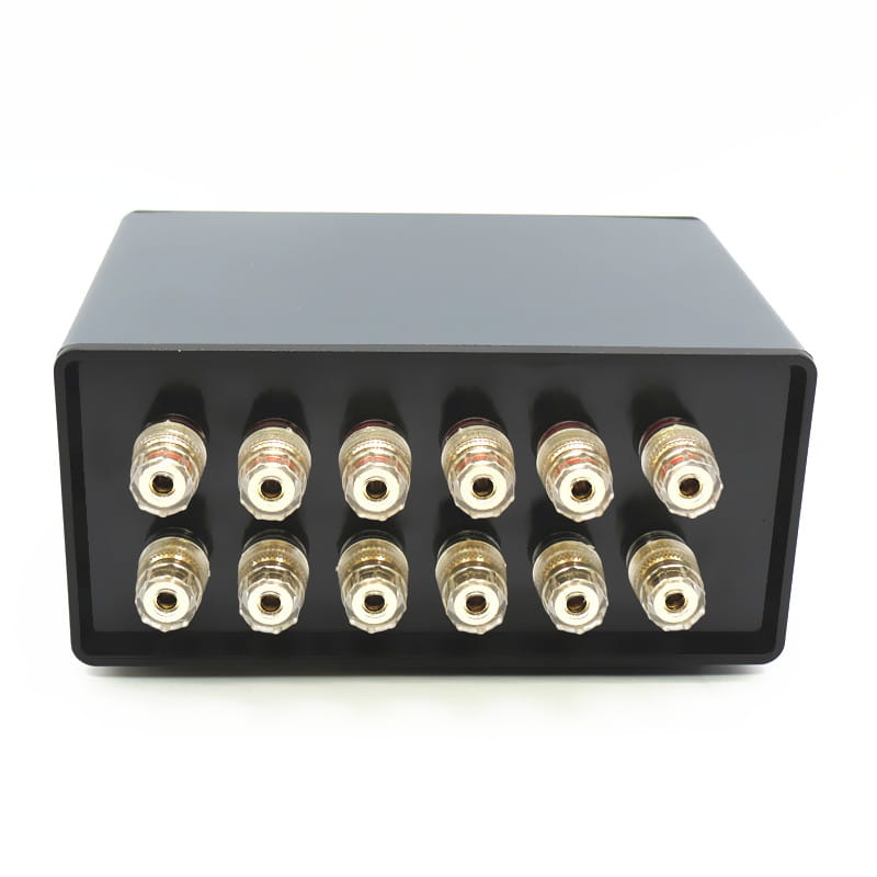 Black rectangular hifi audio switcher 2 way speaker selector box with ten gold-plated rca connectors arranged in two rows shown from the back side.