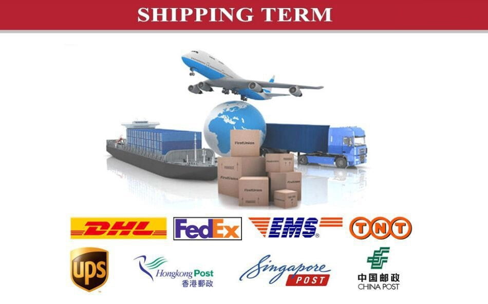 Das Bild zeigt die Logos von internationalen Speditions- und Logistikunternehmen, einschließlich DHL, FedEx, EMS, TNT, UPS, Hongkong Post, Singapore Post und China Post, die mit einer OEM 39110-03430 Motorsteuergeräteinheit (ECU) in Verbindung stehen.