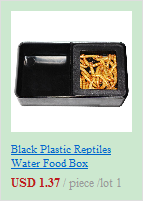black plastic reptile-shaped water food box placed beside a wedding champagne flutes gold heart toasting glasses set.