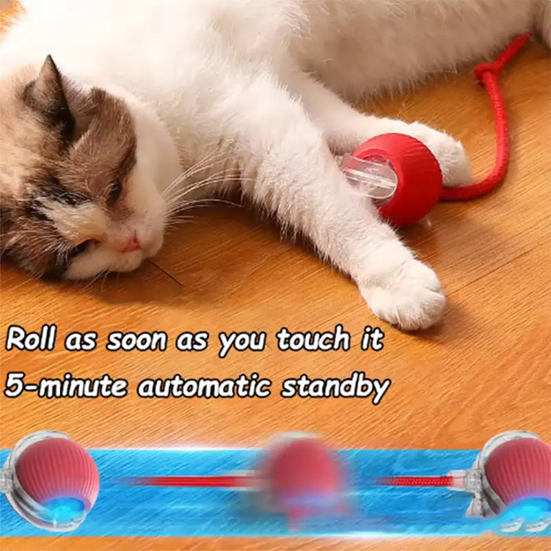 Red spherical interactive smart cat ball toy with a clear plastic attachment and a red cord for engaging feline play.