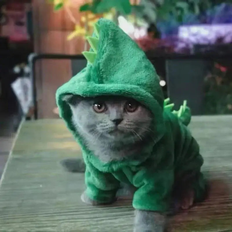 Un gatito gris que lleva prendas de vestir para mascotas de forro polar con motas de coral diseñadas para perros de tamaño mediano, con un disfraz esponjoso de dinosaurio verde y detalles con pinchos