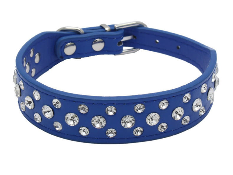 Blaues Leder-Hundehalsband, verziert mit funkelnden klaren Strasssteinen und Metallbeschlägen in Silberoptik, ausgelegt für kleine Hunde und Katzen.