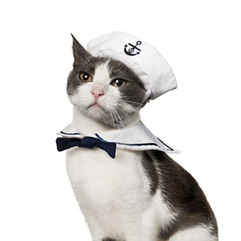 white sailor-style pet hat with black anchor emblem as part of a cat sailor costume accessory