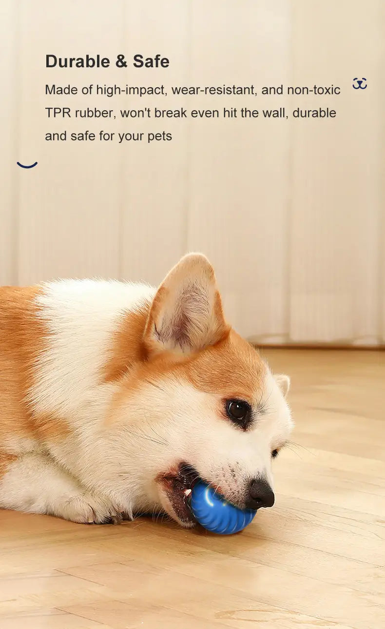 blue textured tpr rubber interactive dog toy rolling ball rechargeable chase toy shown from front angle