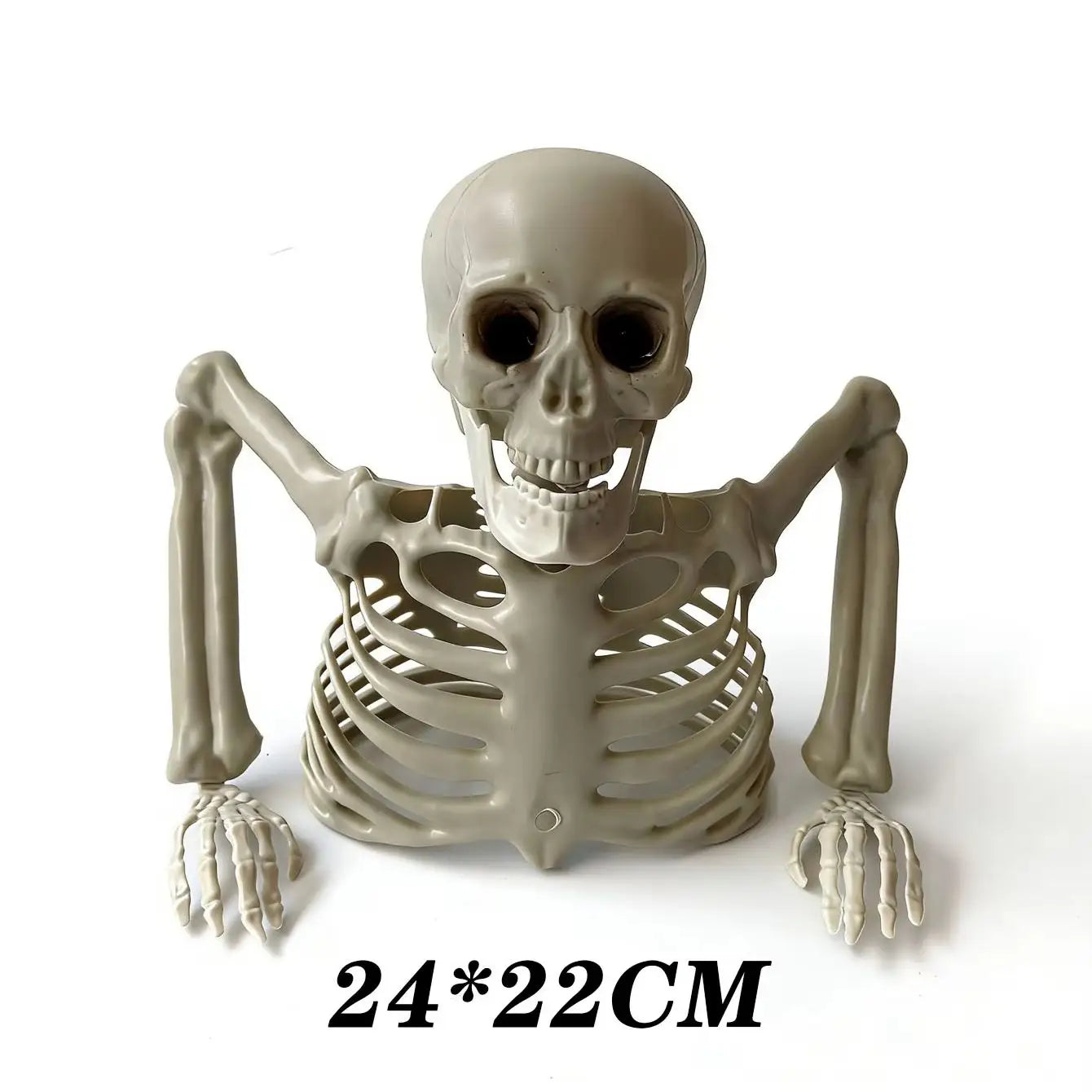 una decoración de plástico color beige de medio esqueleto de Halloween con brazos y manos articulados, diseñada para montajes de escenas aterradoras