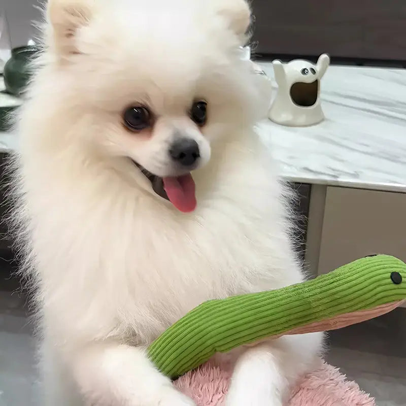 黒い目とピンクの内側を特徴とする緑のコーデュロイのヘビの犬おもちゃのぬいぐるみペット玩具を抱えた、ふわふわの白いポメラニアン犬。柔らかい噛むおもちゃのタイプとして設計されています。