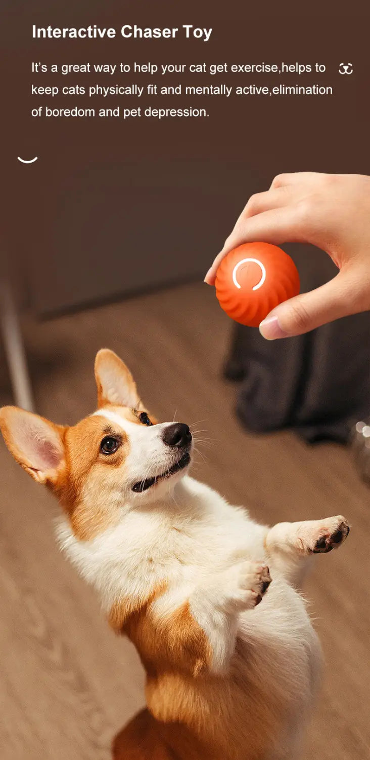 orange textured interactive chaser toy ball shown from a front angle designed as a rechargeable rolling dog toy accessory feature