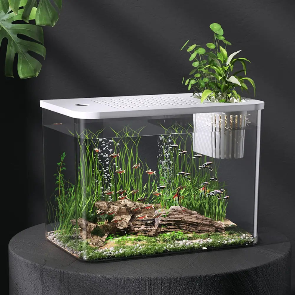 pecera de plástico para mascotas y ABS, rectangular blanca y transparente, con vidrio transparente en los laterales y una tapa perforada que contiene plantas acuáticas, piedras, musgo y peces pequeños en su interior