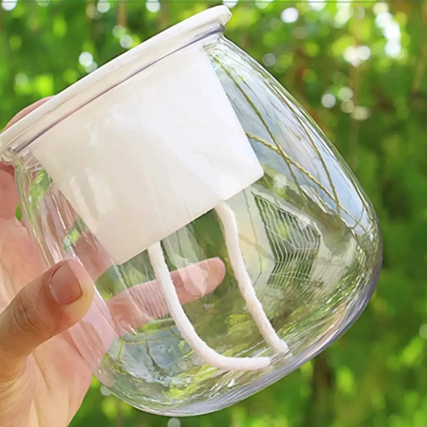 白色のプラスチック製フタと、セルフウォーターリング用のミニプラスチック多肉植物ポット6個セットのための白色ロープハンドル2本付きの、クリアガラスジャー。