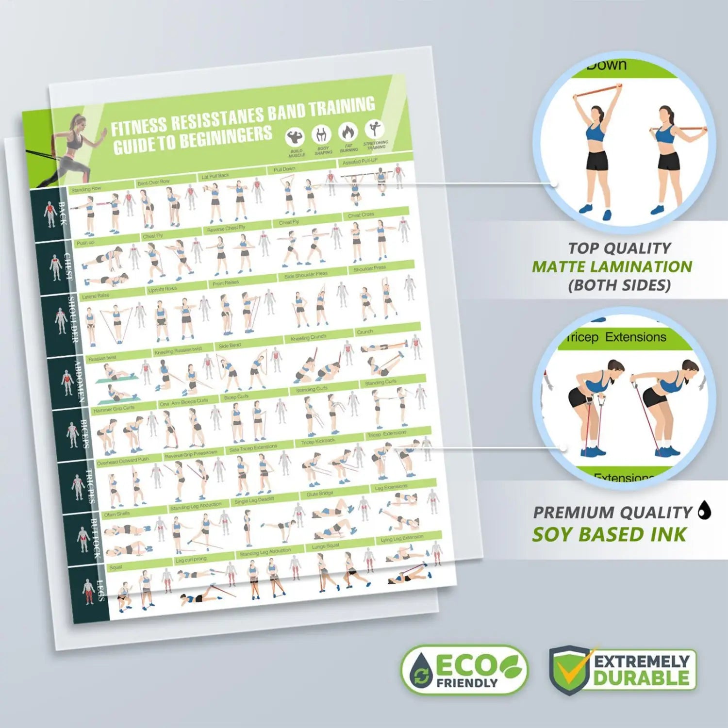 Green and white resistance band workout poster fitness training guide featuring illustrated exercises for effective fitness training.