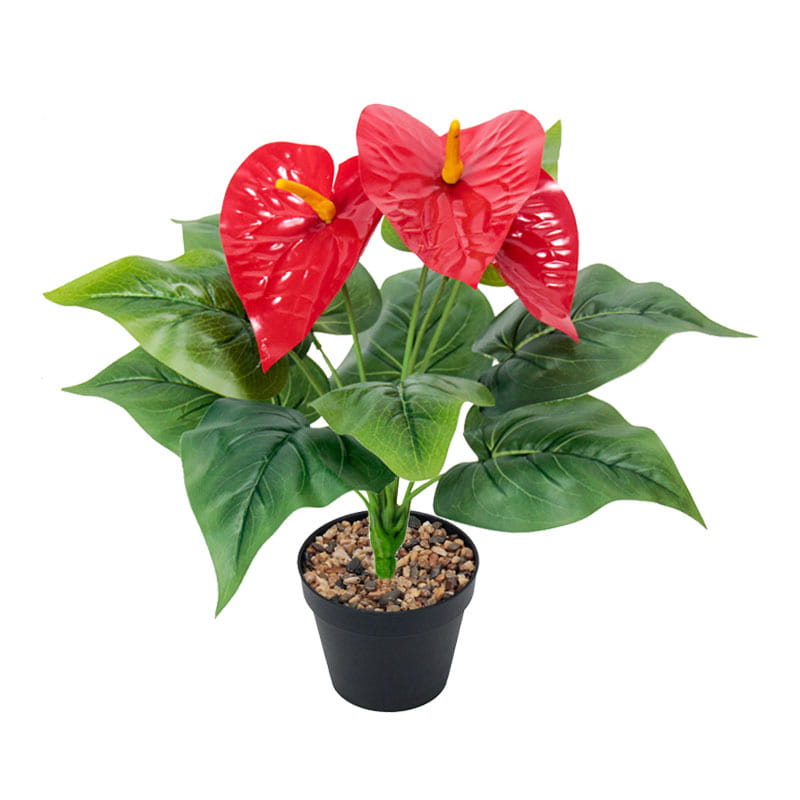 Artificial red anthurium potted plant with vibrant red flowers, glossy green leaves, yellow spadix, and black plastic container filled with decorative pebbles.