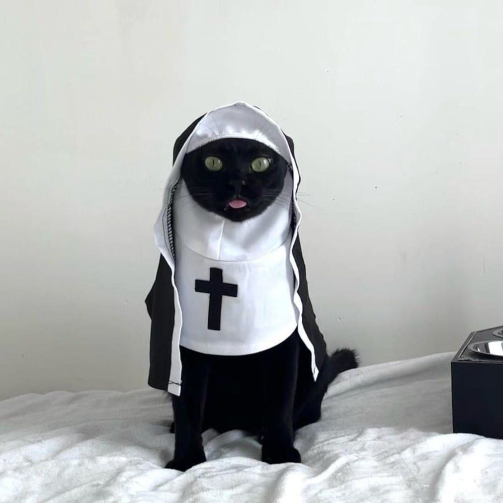胸に十字のエンブレムがあり、黒い縁取りの付いた白いフード付きローブを着用した黒猫。ポリエステル繊維製のペット犬猫の尼僧コスチューム。