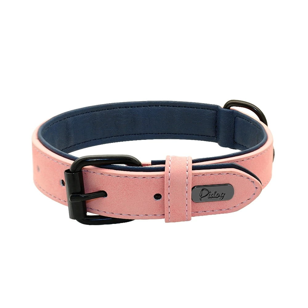 Customized leather dog collar in pink and navy blue with black metal buckle featuring a nameplate for personalization and customization information.