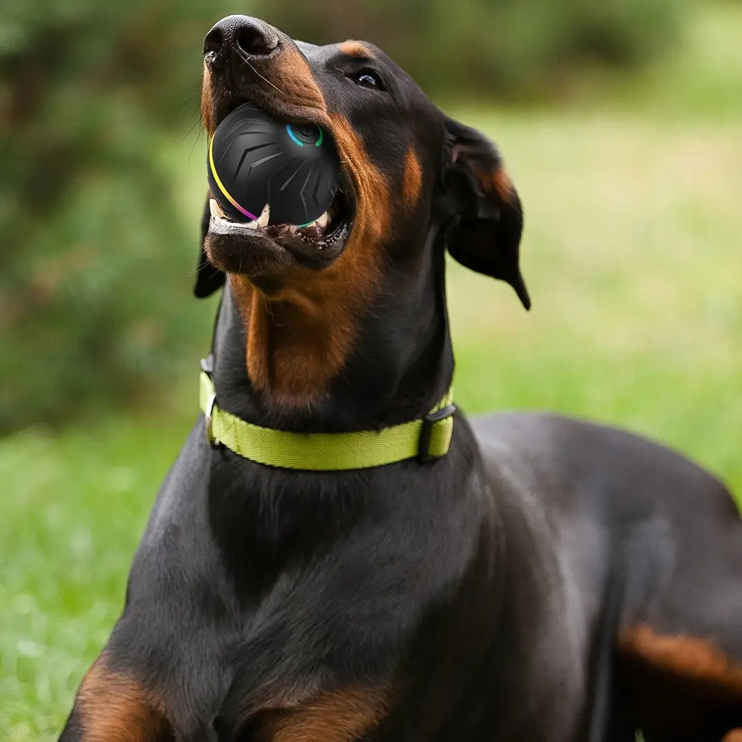 Black textured interactive dog toy with colorful glowing LED accents designed as a smart rolling ball toy type for pet engagement.