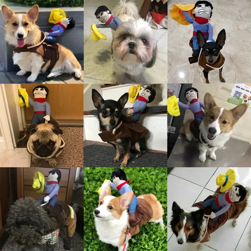胸周りの快適さに配慮し、犬向けの衣類の面白いコスプレとして使用するために、上に設置されたぬいぐるみの乗り手フィギュアを特徴とする、茶色のカウボーイ風の犬服の面白いコスチューム。