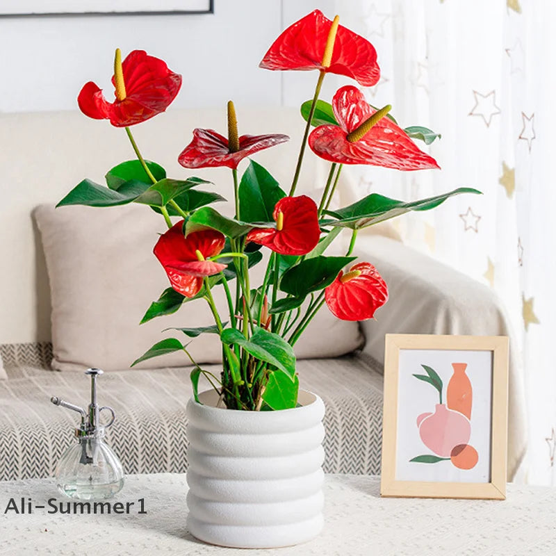 【E】Porcelain-like plastic flower pot Indoor Plants Pots Office For Flower Multipurpose Planters For And Vegetable For Plants Pot