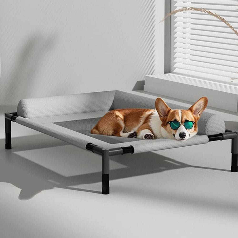 Gray adjustable dog bed with black metal frame, padded sides, and breathable mesh sleeping surface for elevated pet comfort.