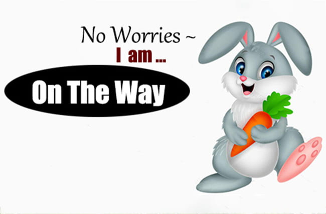 A cheerful gray cartoon bunny with blue eyes holding a bright orange carrot featured alongside men orthopedic slip-on walking shoes designed for comfort and support.